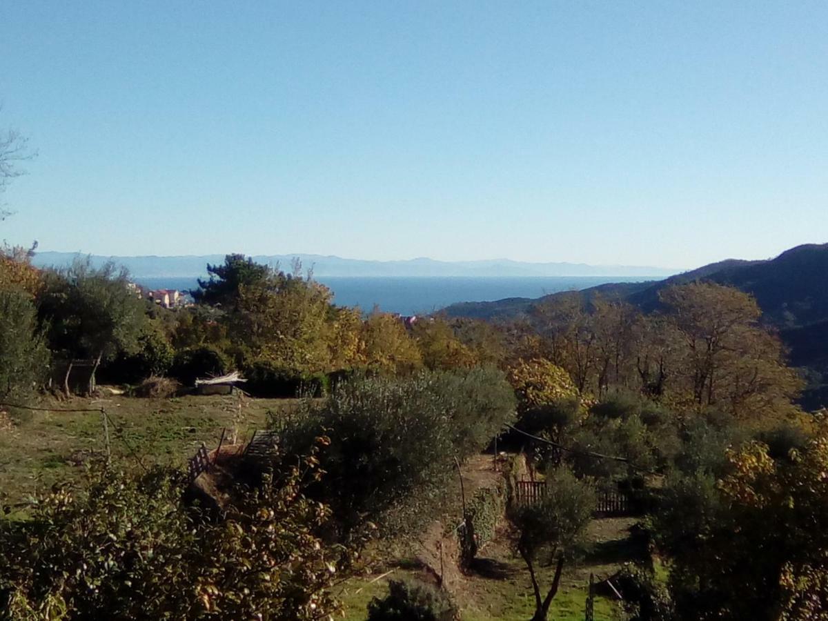 شقة Contrada Casa Vacanze فادو ليكوري المظهر الخارجي الصورة